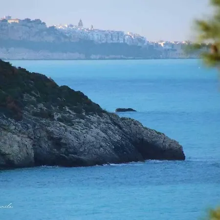 Villaggio Gargano 24 - #126749 Hébergement de vacances